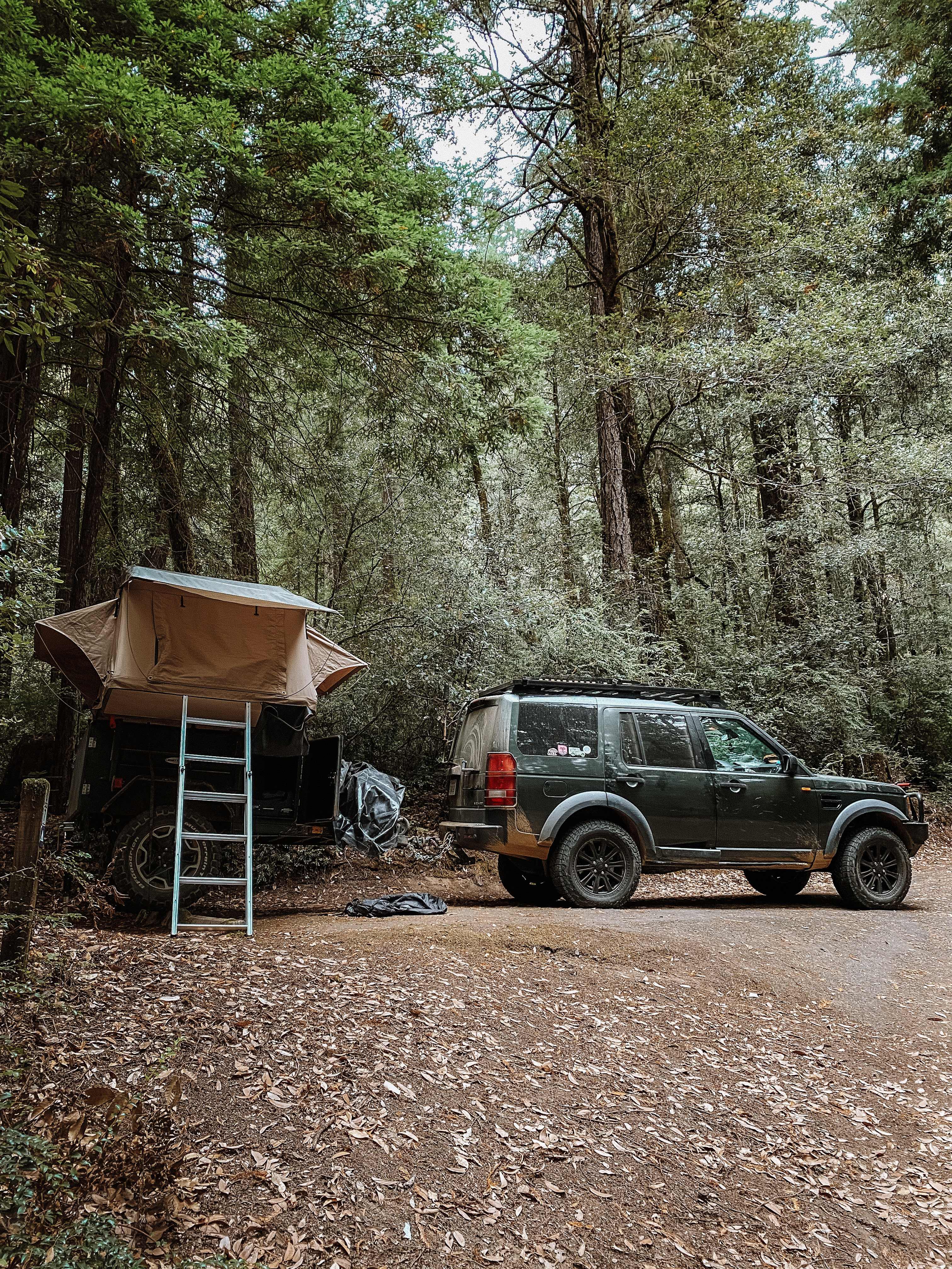 Land Rover with a rooftop tent parked in the redwoods