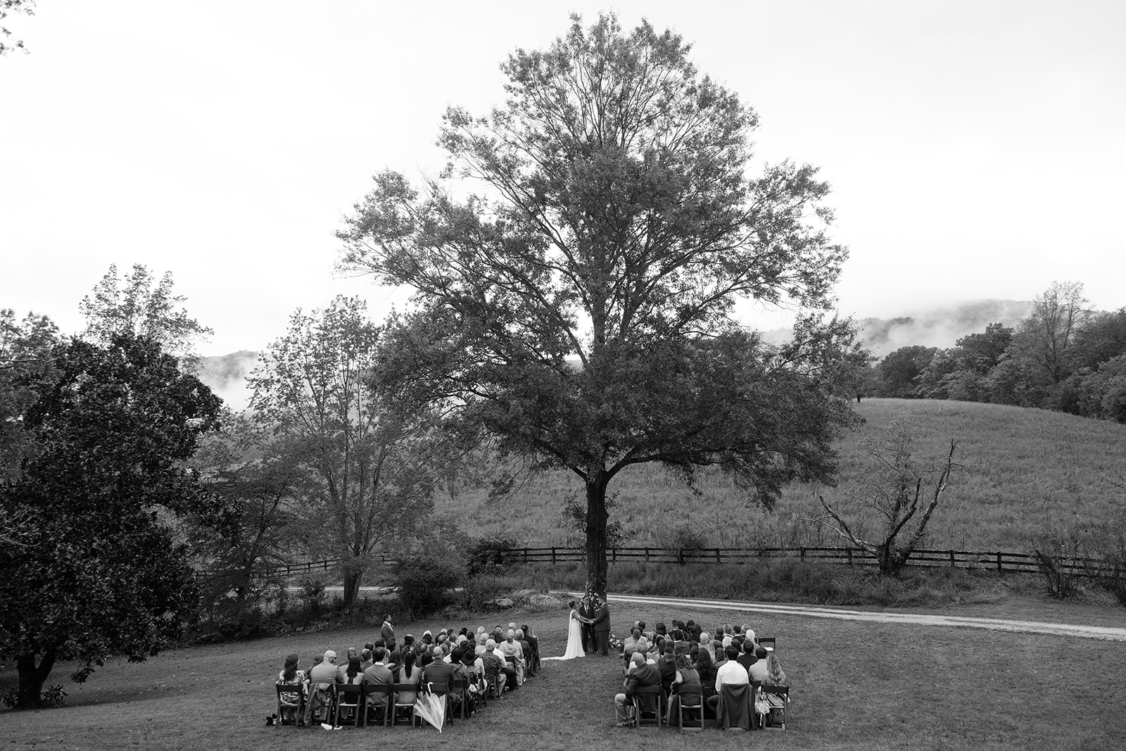 Our wedding ceremony beneath a big tree in the Virginia mountains